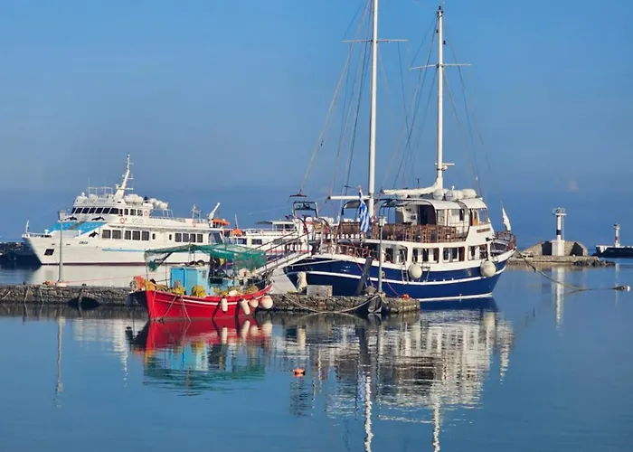 Octopus Blue Mykonos Town
