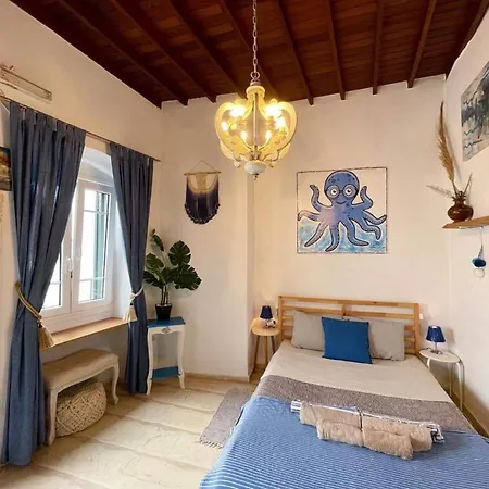Octopus Blue Daire *